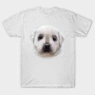 Labrador puppy T-Shirt